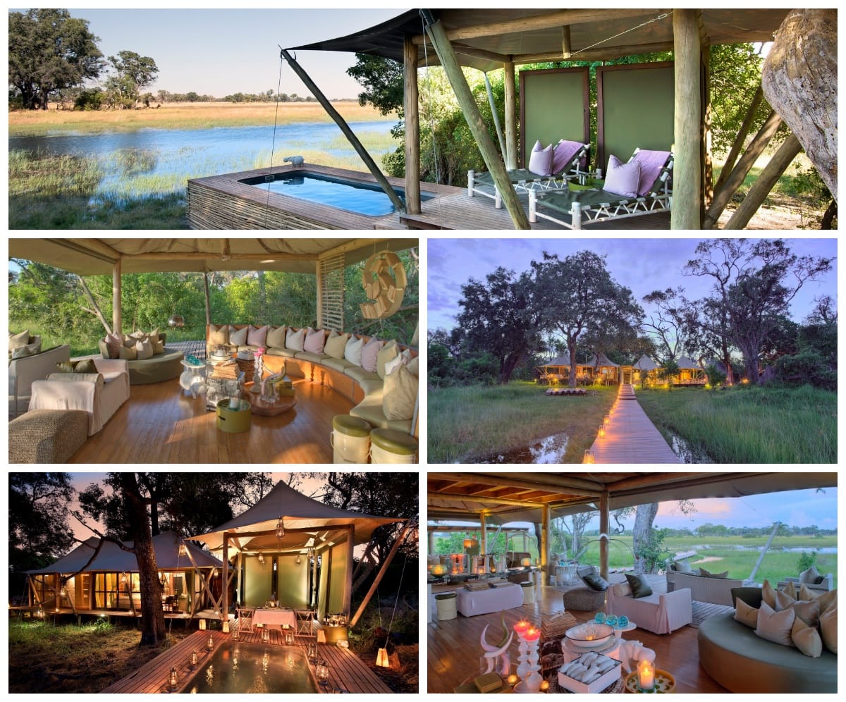 andBeyond Xaranna Okavango Delta Camp, basen z widokiem na safari, przytulne wnętrze lodge