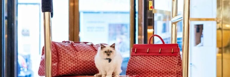 Poznajcie najlepsze hotele w Europie dla zwierząt,najlepsze hotele w europie dla zwierząt,wakacje z pupilem do hotelu,Hotele w Europie przyjazne zwierzakom