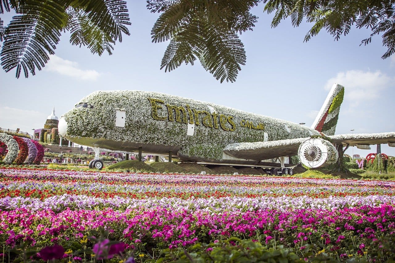 Miracle Garden Dubaj 