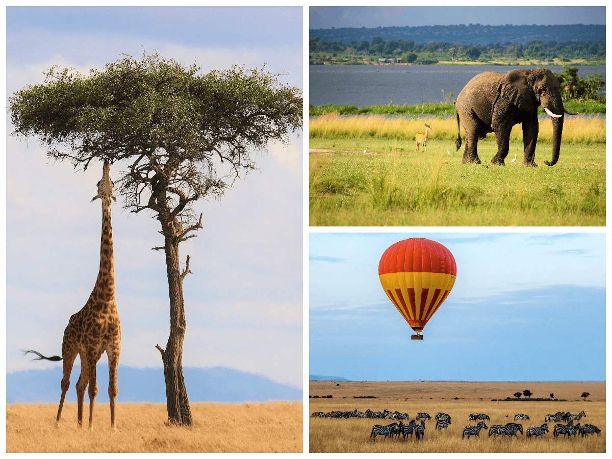 luksusowe safari w zambii, zambia parki narodowe, wczasy w zambii, wycieczki do afryki szyte na miarę luksusowe safari w zambii, zambia parki narodowe, wczasy w zambii, wycieczki do afryki szyte na miarę