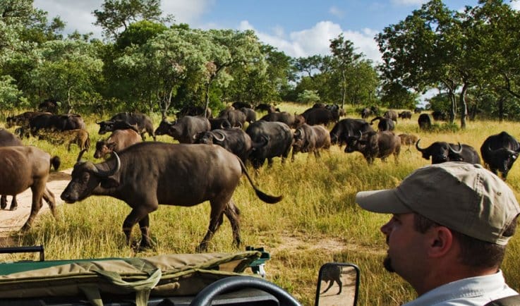 luksusowe_Relacje_z_Wypraw_Royal_Portfolio_RPA_78