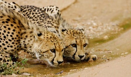 luksusowe_Relacje_z_Wypraw_Royal_Portfolio_RPA_male_06