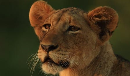 luksusowe_Relacje_z_Wypraw_Royal_Portfolio_RPA_male_07