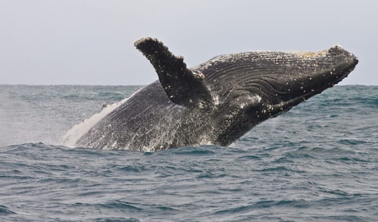 luksusowe_Relacje_z_Wypraw_Royal_Portfolio_RPA_male_09