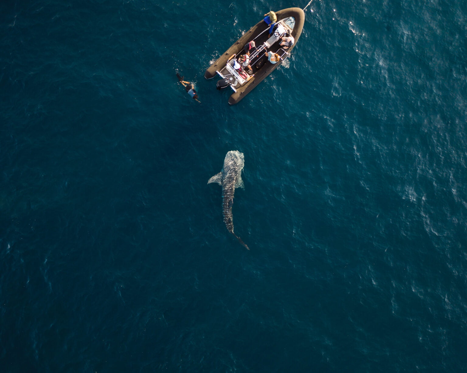 Aqua Blu ekskluzywny rejs po Indonezji