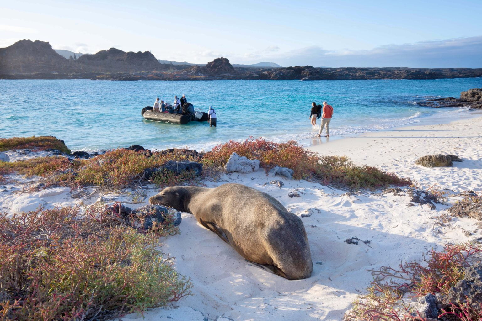 Aqua Mare rejs po Wyspach Galapagos