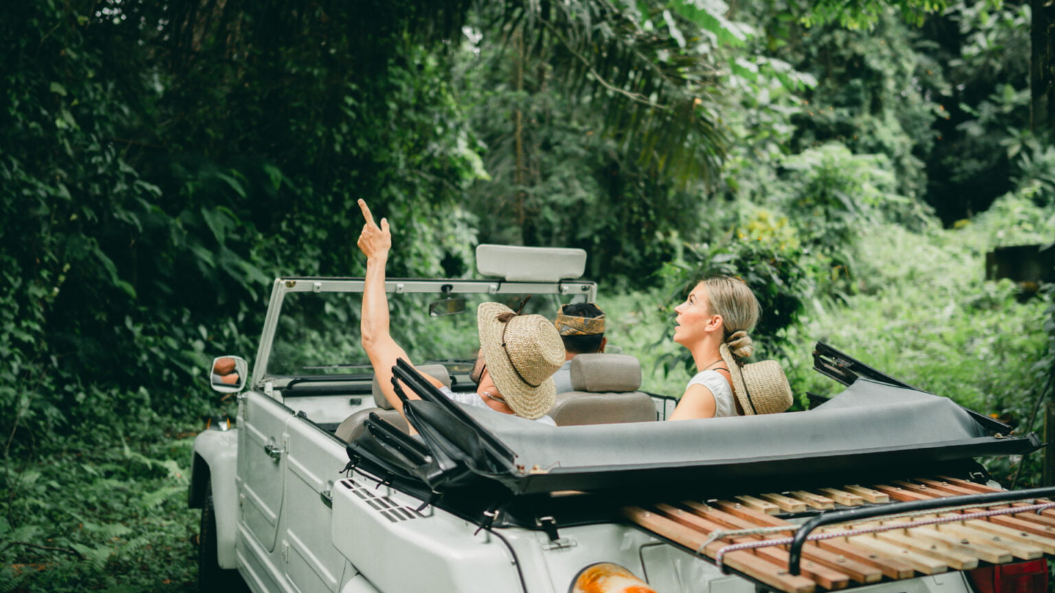 ludzie podziwiający przyrodę z auta