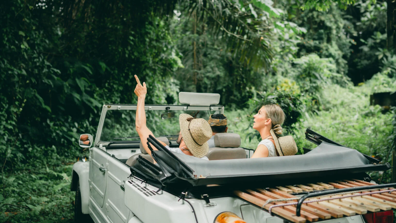 people admiring nature from the car