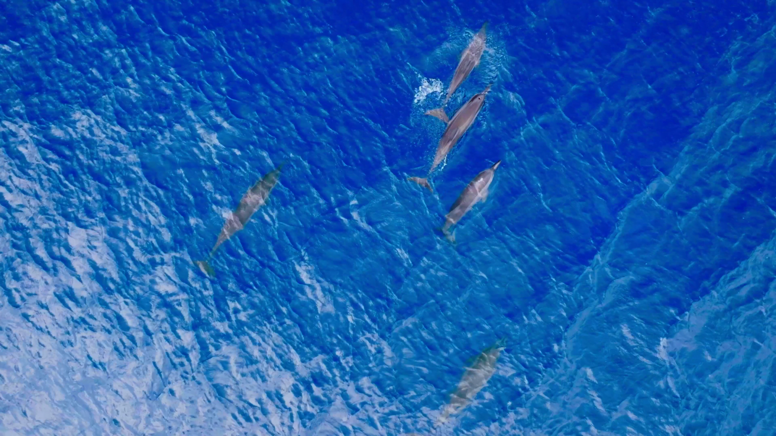 Park Hyatt Maldives Hadahaa - ekskluzywne wczaasy na Malediwach, najlepsze hotele na wakacje na Malediwach 20