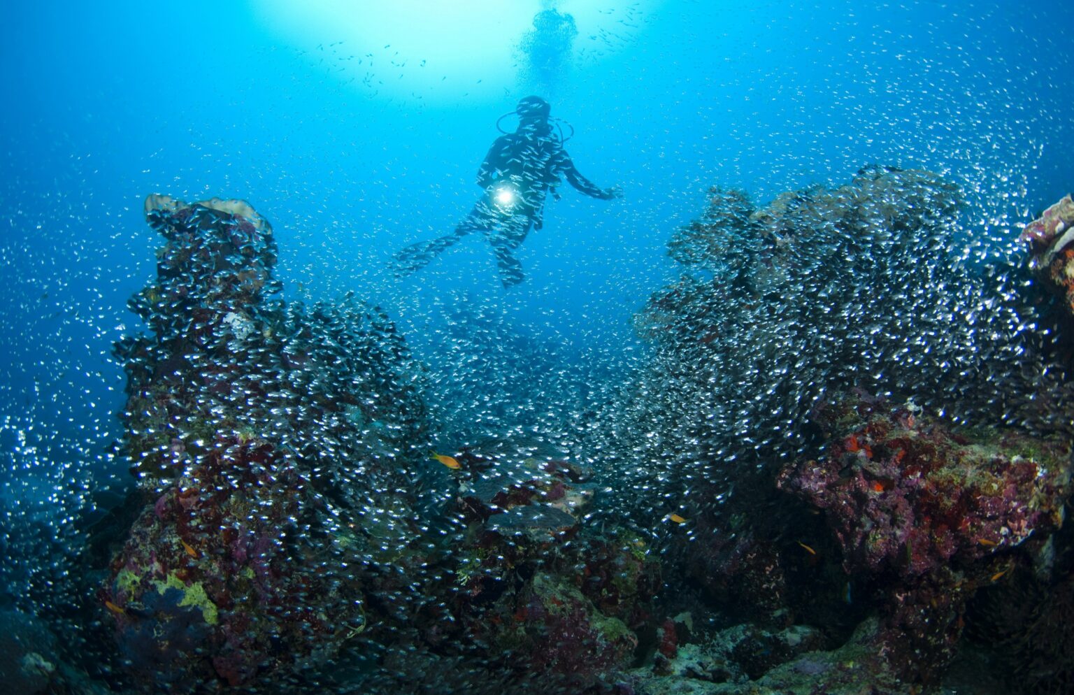 Park Hyatt Maldives Hadahaa - ekskluzywne wczaasy na Malediwach, najlepsze hotele na wakacje na Malediwach 22