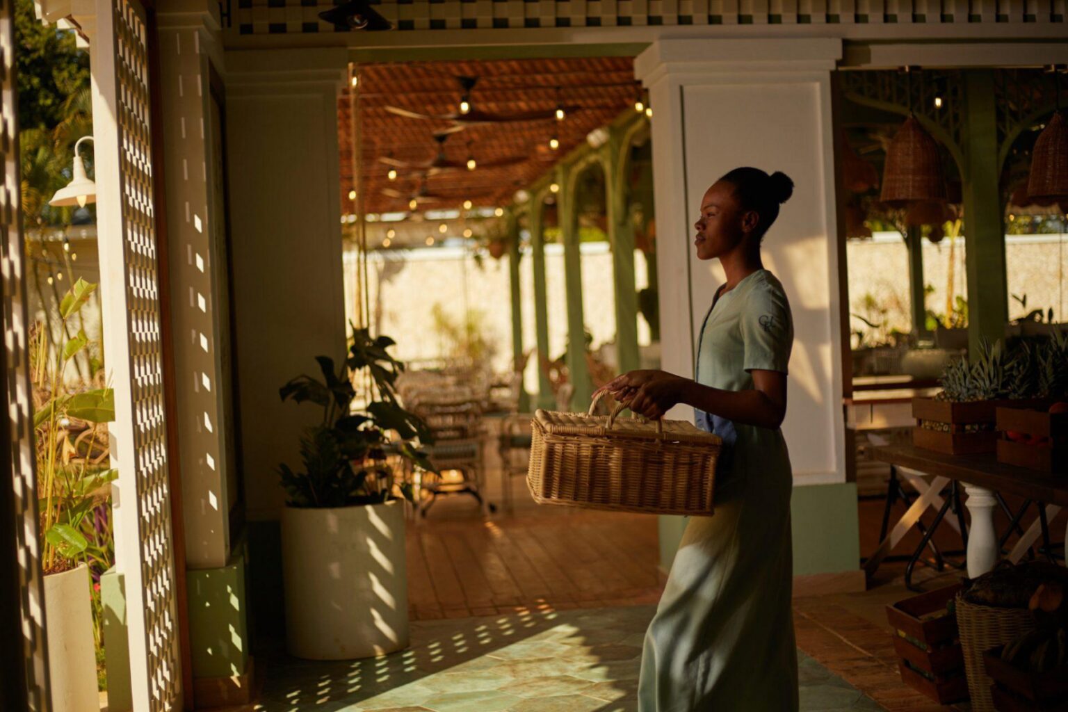 cayo-levantado-wyspa-cayo-levantado-dominikana-186789-full