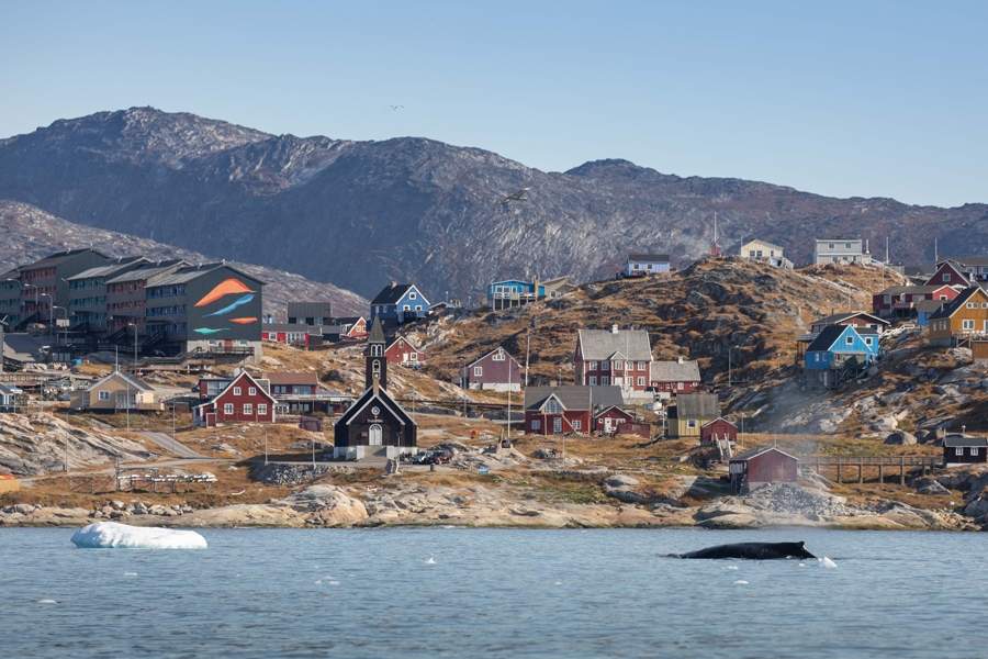 QuarkExpeditions_humpback_whale_ilulisat_Credit-MichelleSole-9524