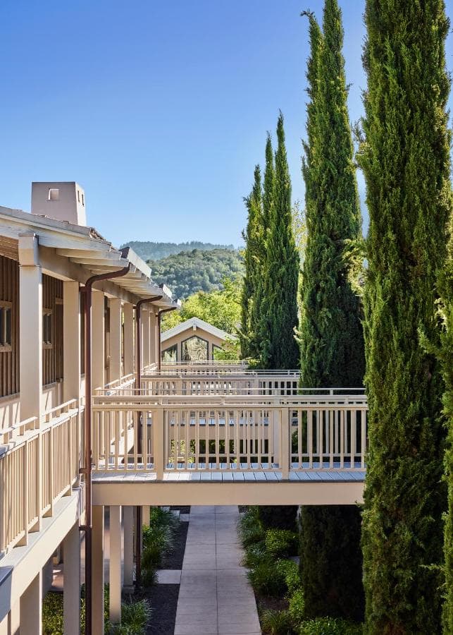 Rosewood Sand Hill 11