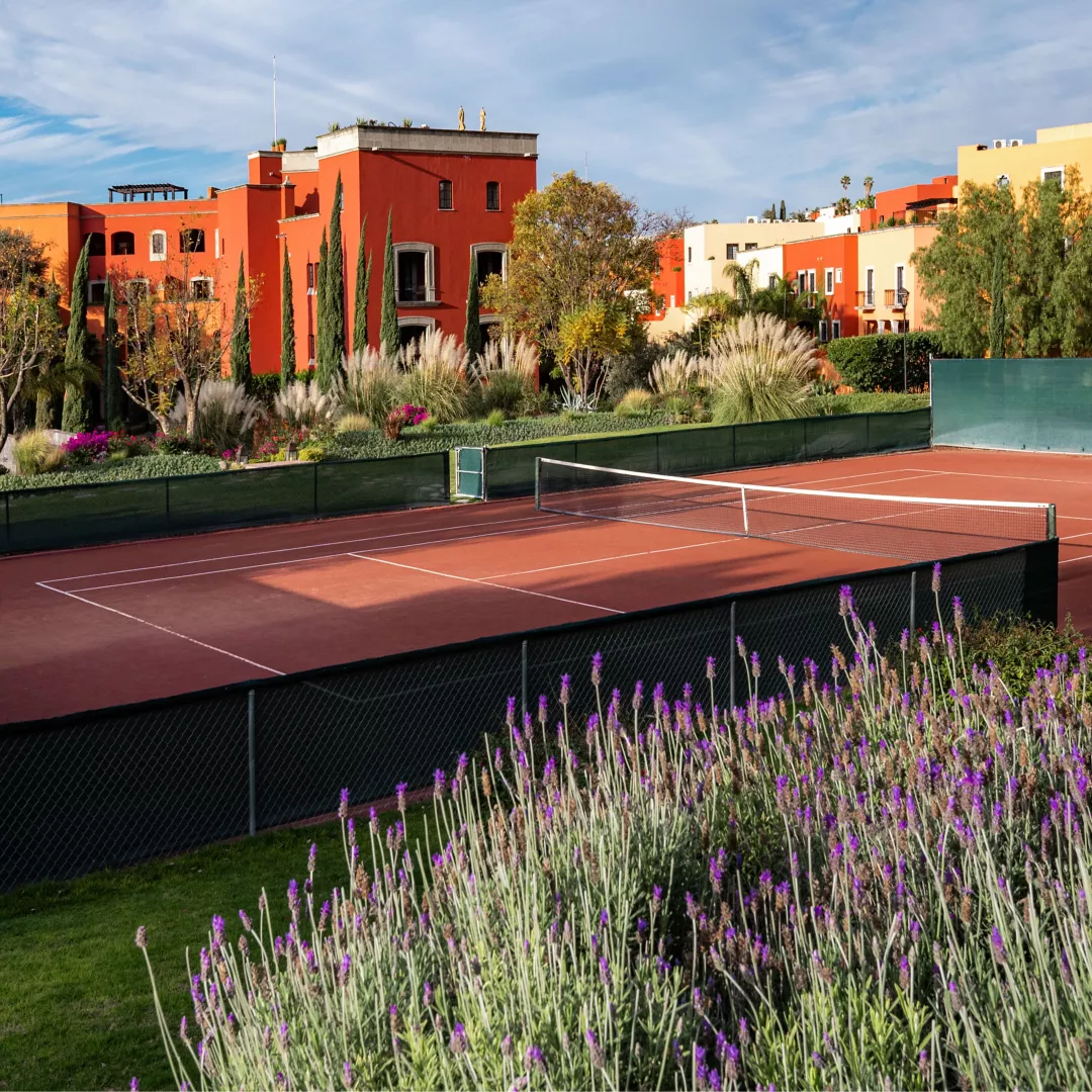 tenis_SQUARE-LARGE-1-1