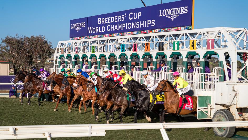 breeders’ cup world championships
