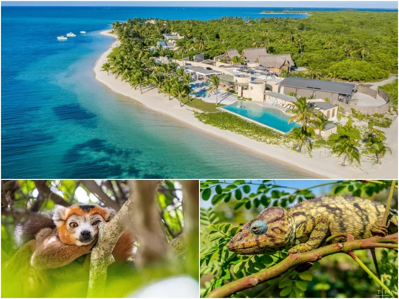 Miavana luxury resort located in the middle of untouched nature, overlooking wild beaches and lush forests. Adventure in the heart of nature.