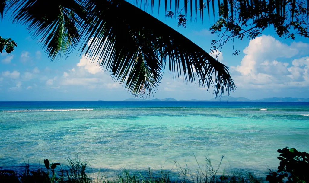 Overlooking a hidden bay. Golden sand and calm waves provide privacy and solace.