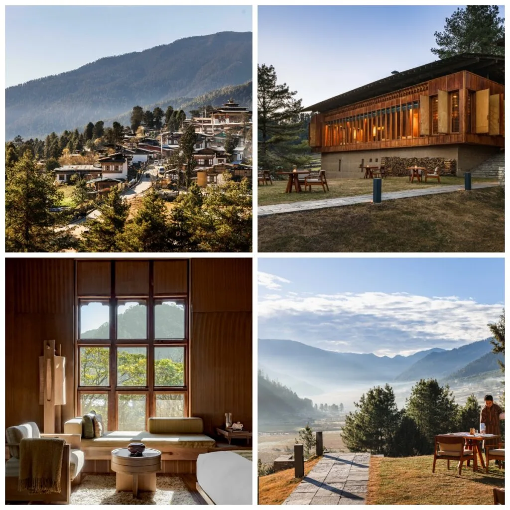 amankora blog carter