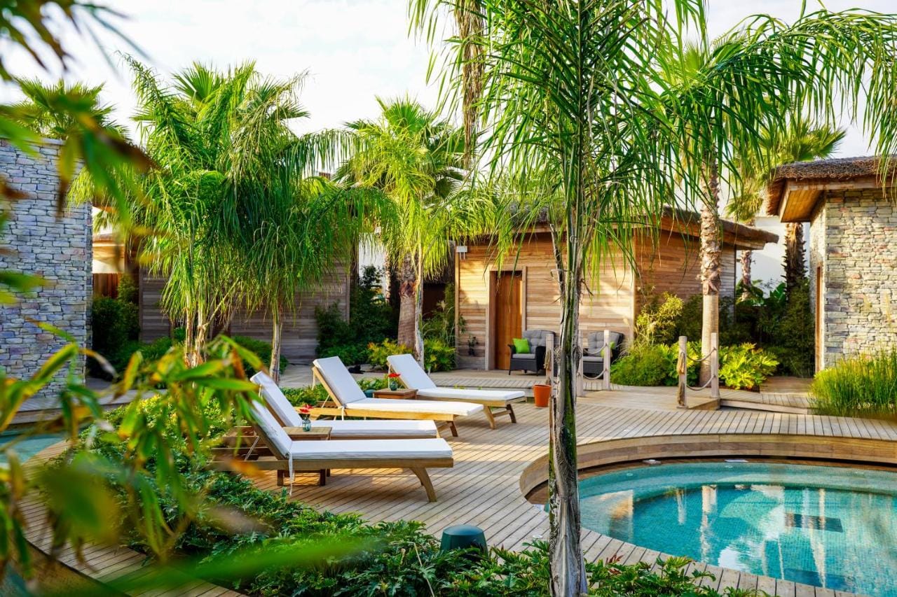 regnum the crown (16)