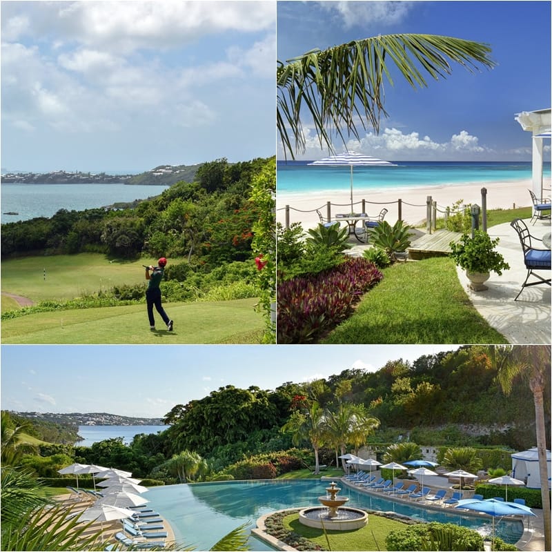 rosewood carter blog