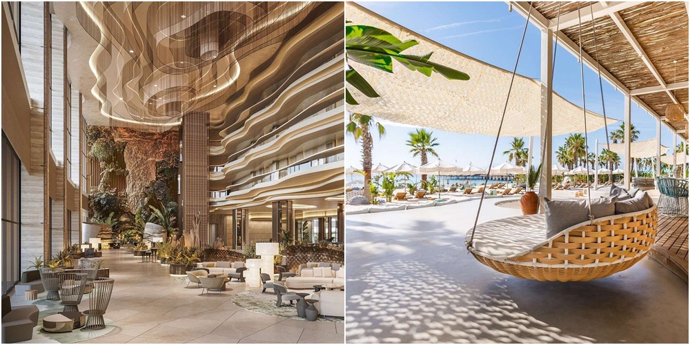 carter regnum the crown regnum carya