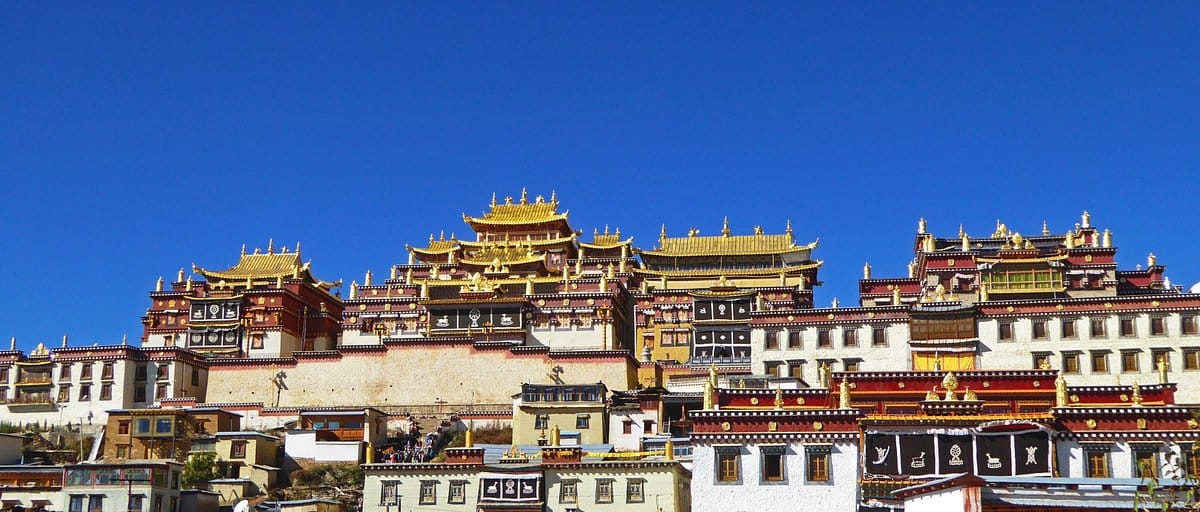 lhasa