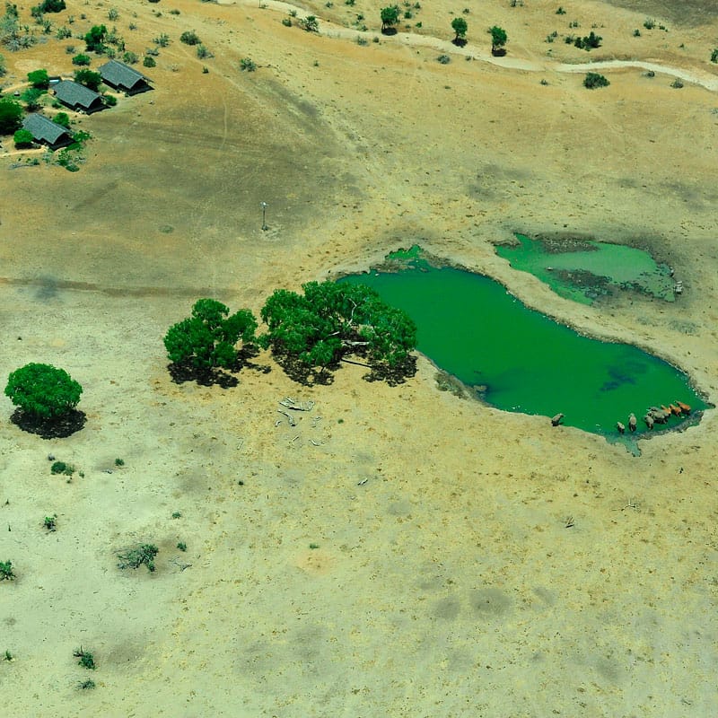 obóz satao camp – wschodni park tsavo 6