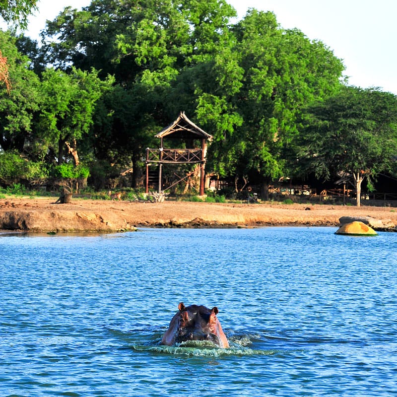 obóz satao camp – wschodni park tsavo 9