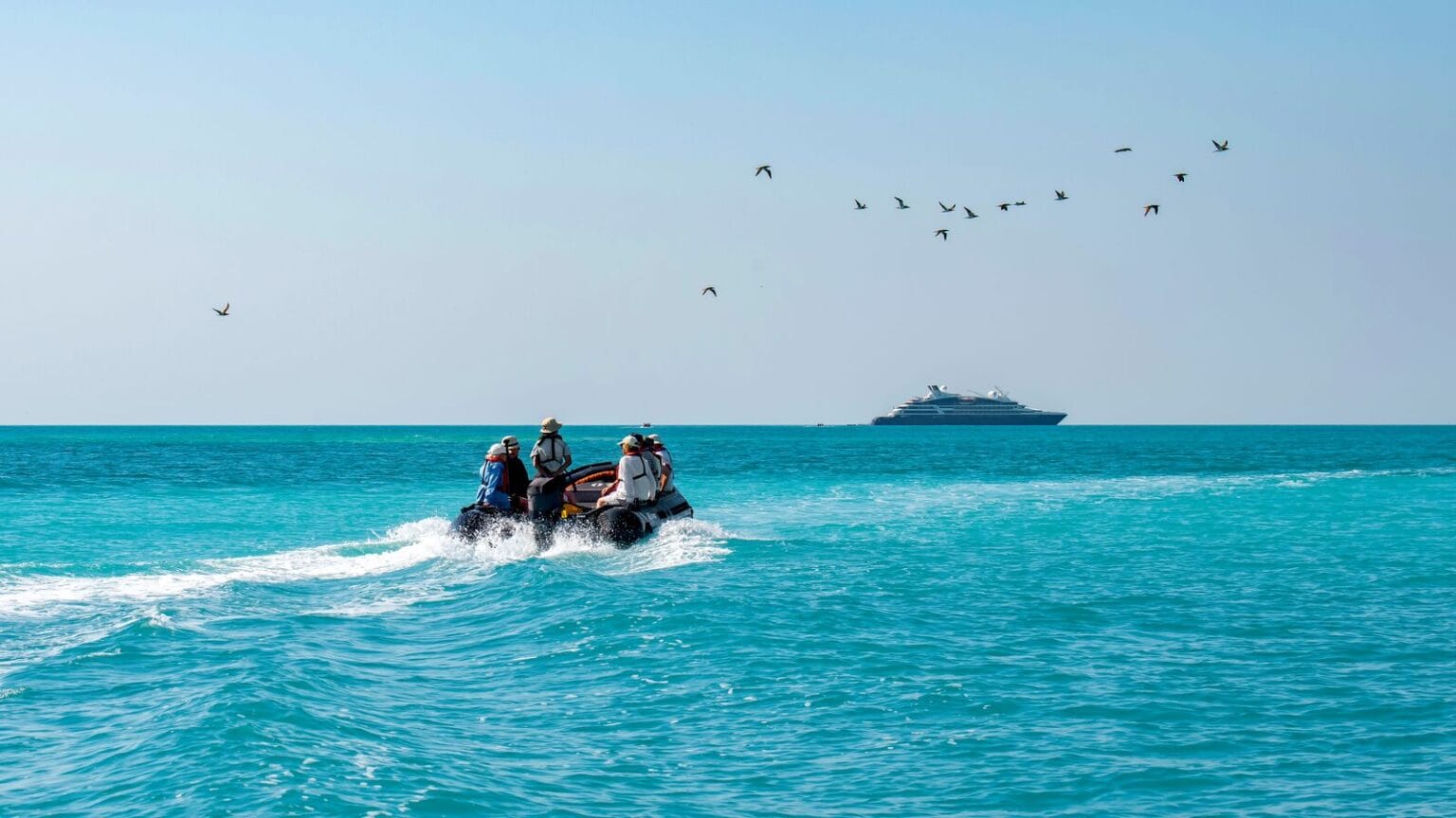 ponant cruises expeditions (21)