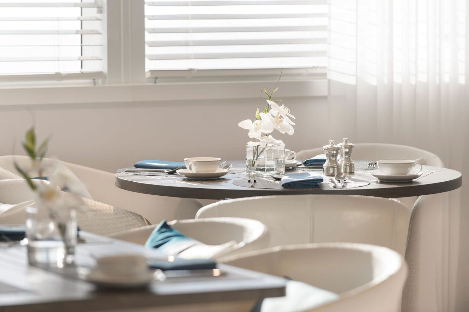 ponant cruises expeditions (39)