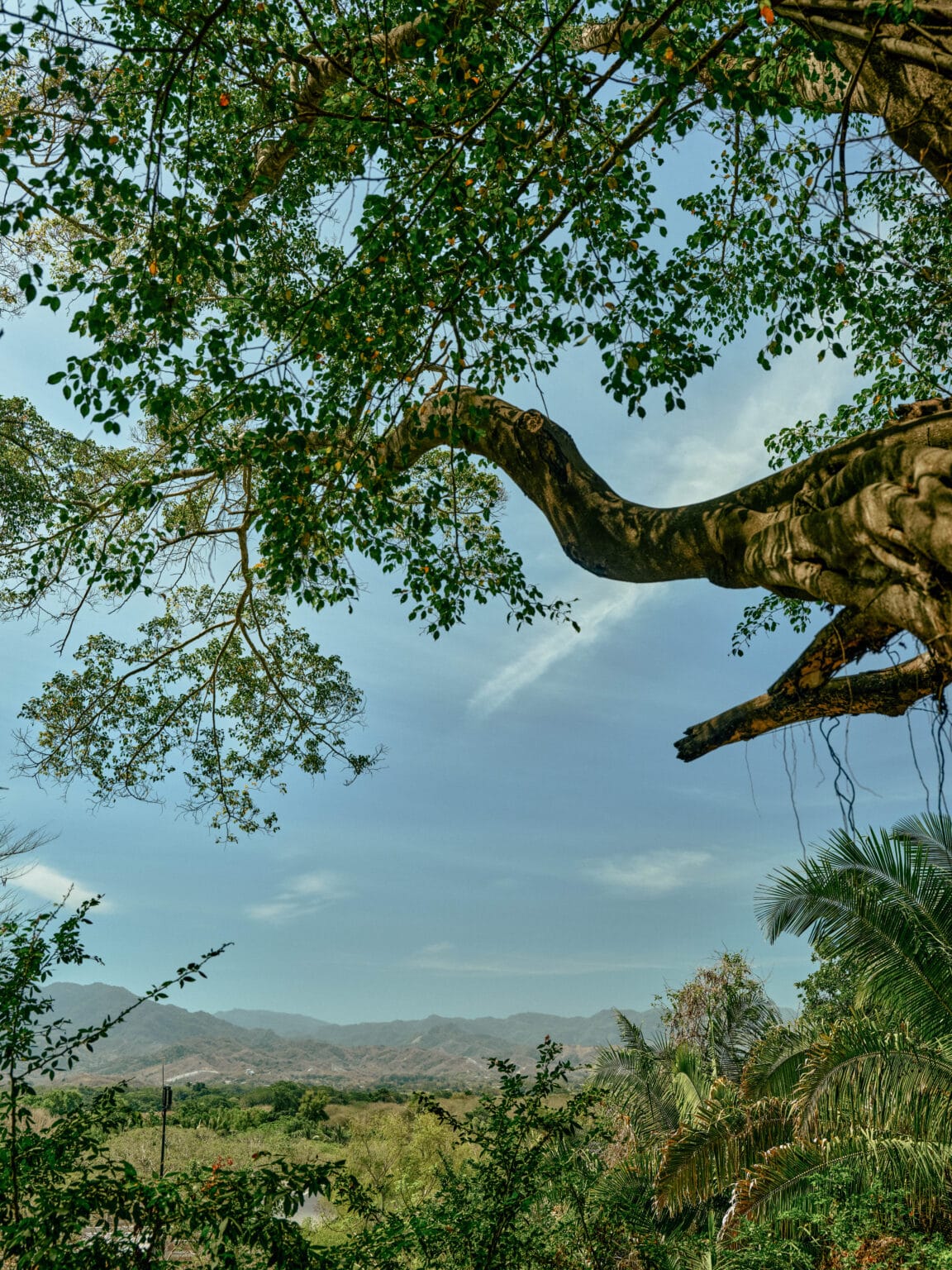 rwmdr destination vista mountains