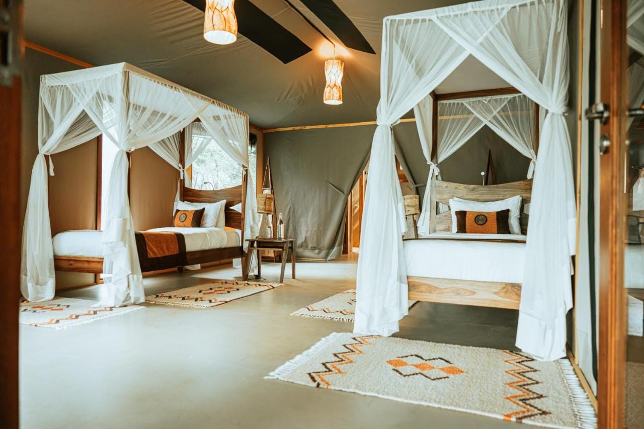 soroi luxury migration camp sypialnia twin beds