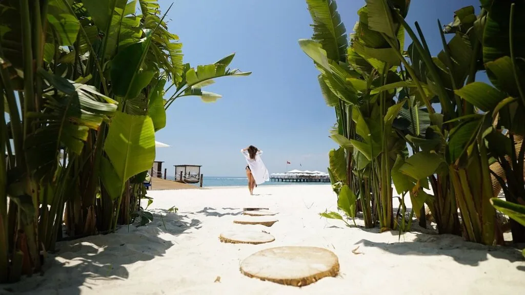 Картер Регнум Кар'я Палм Вей