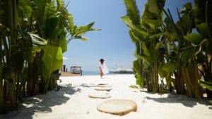 carter regnum carya palm way