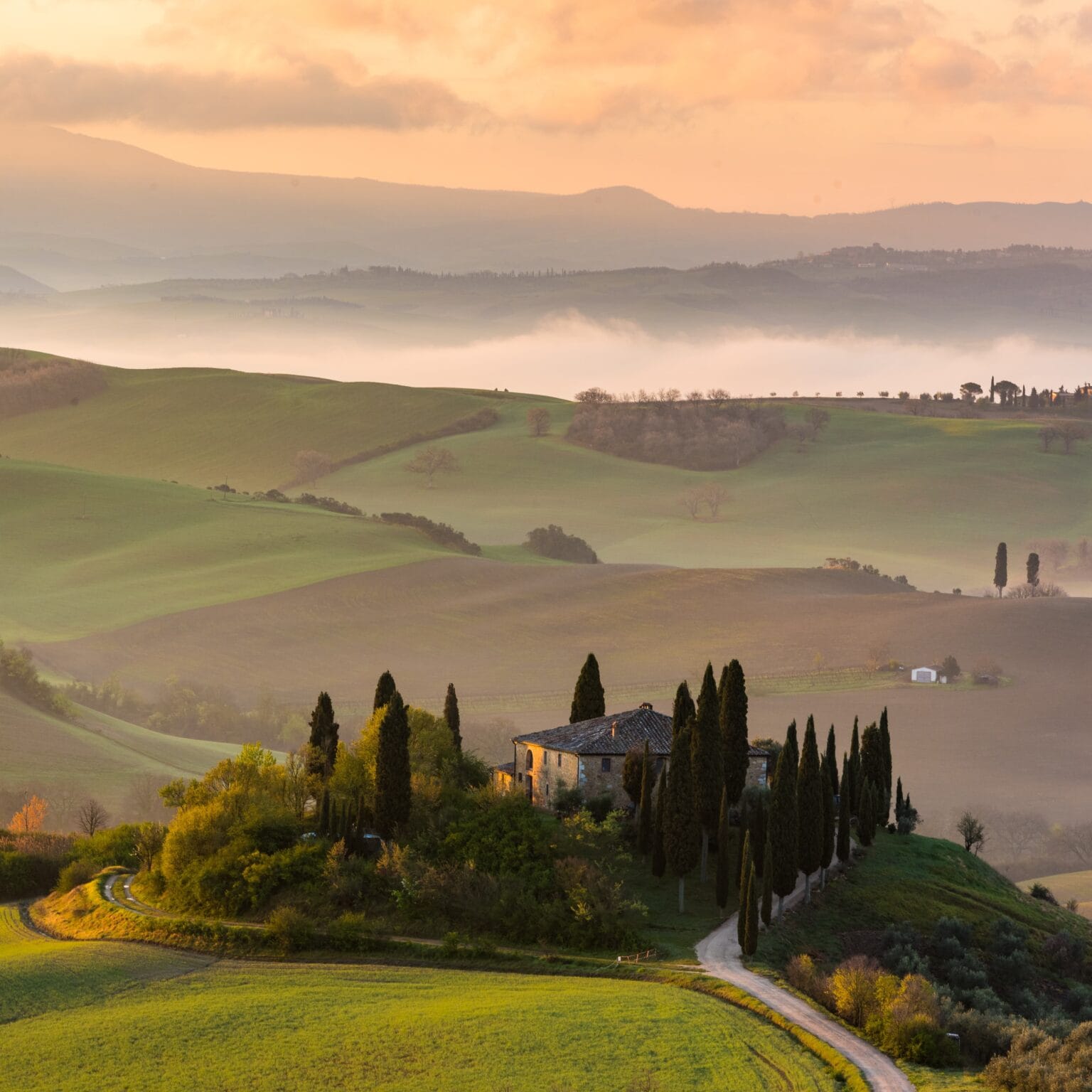 high angle shot building isolated hill surrounded by tall trees pathway