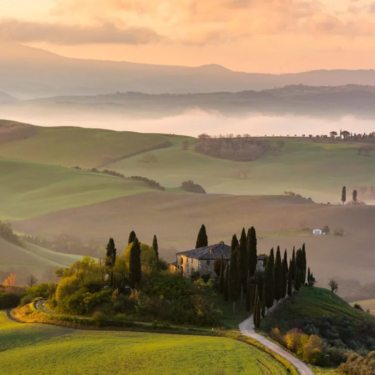 high angle shot building isolated hill surrounded by tall trees pathway