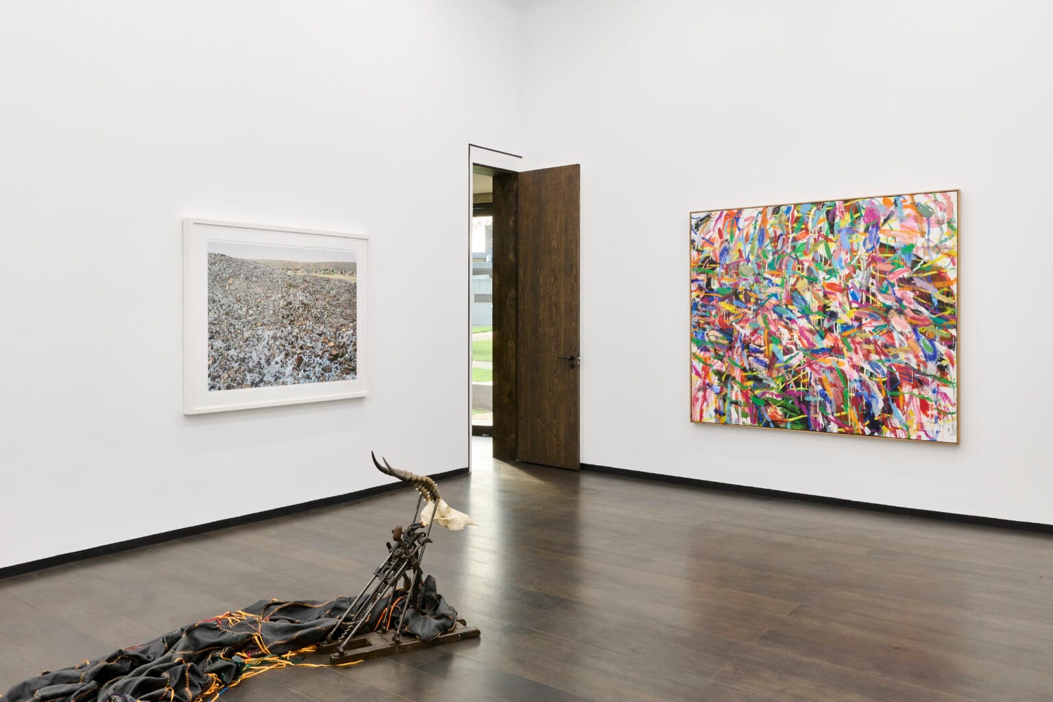 cheetah plains goodman galeria sztuki