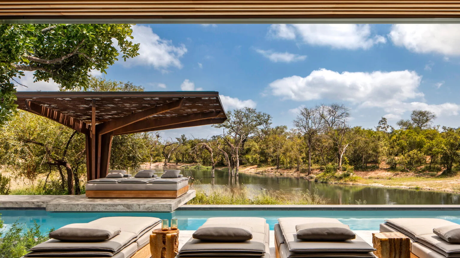 cheetah plains mapogo pool deck
