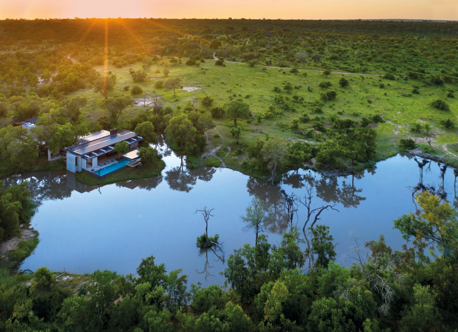 cheetah plains mapogo villa