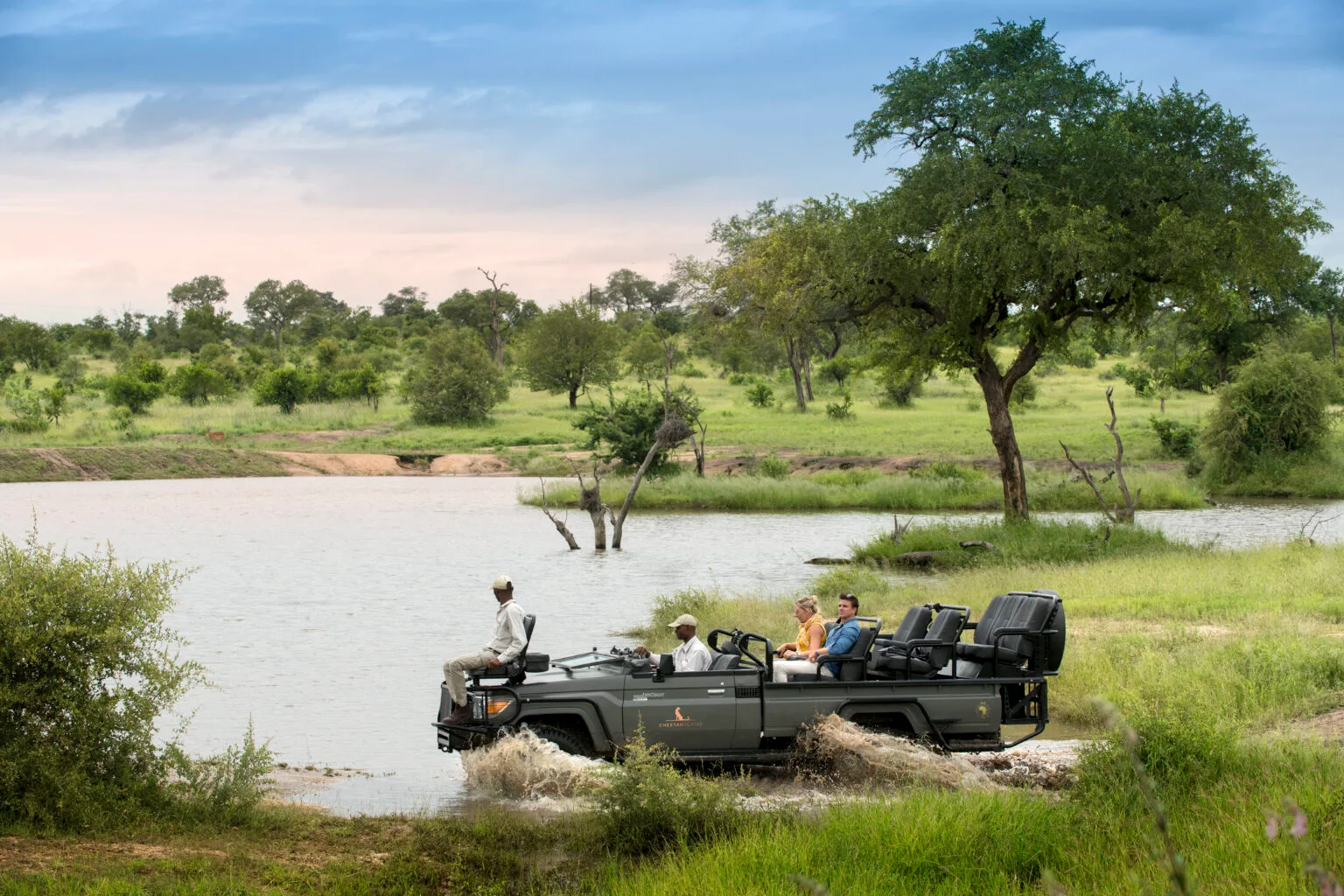 cheetah plains safari
