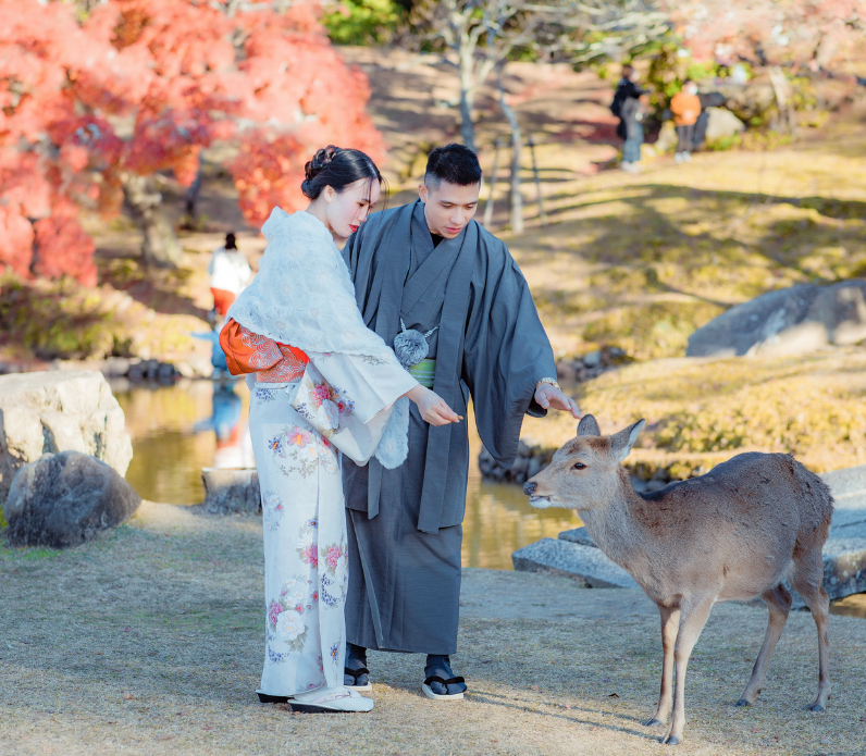 japonia nara