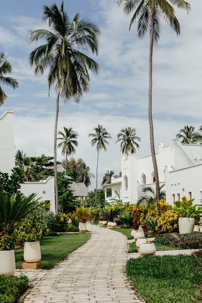 lux marijani zanzibar hotel wśród palm