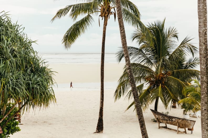 lux marijani zanzibar plaża i palmy