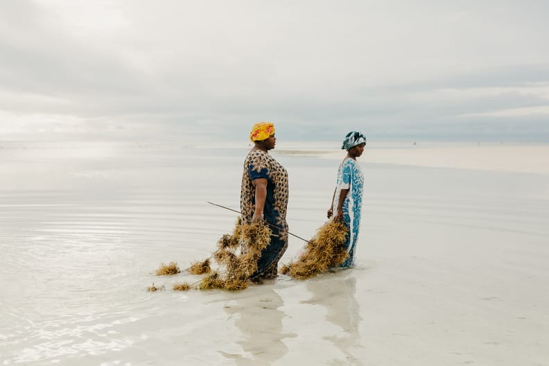 lux marijani zanzibar