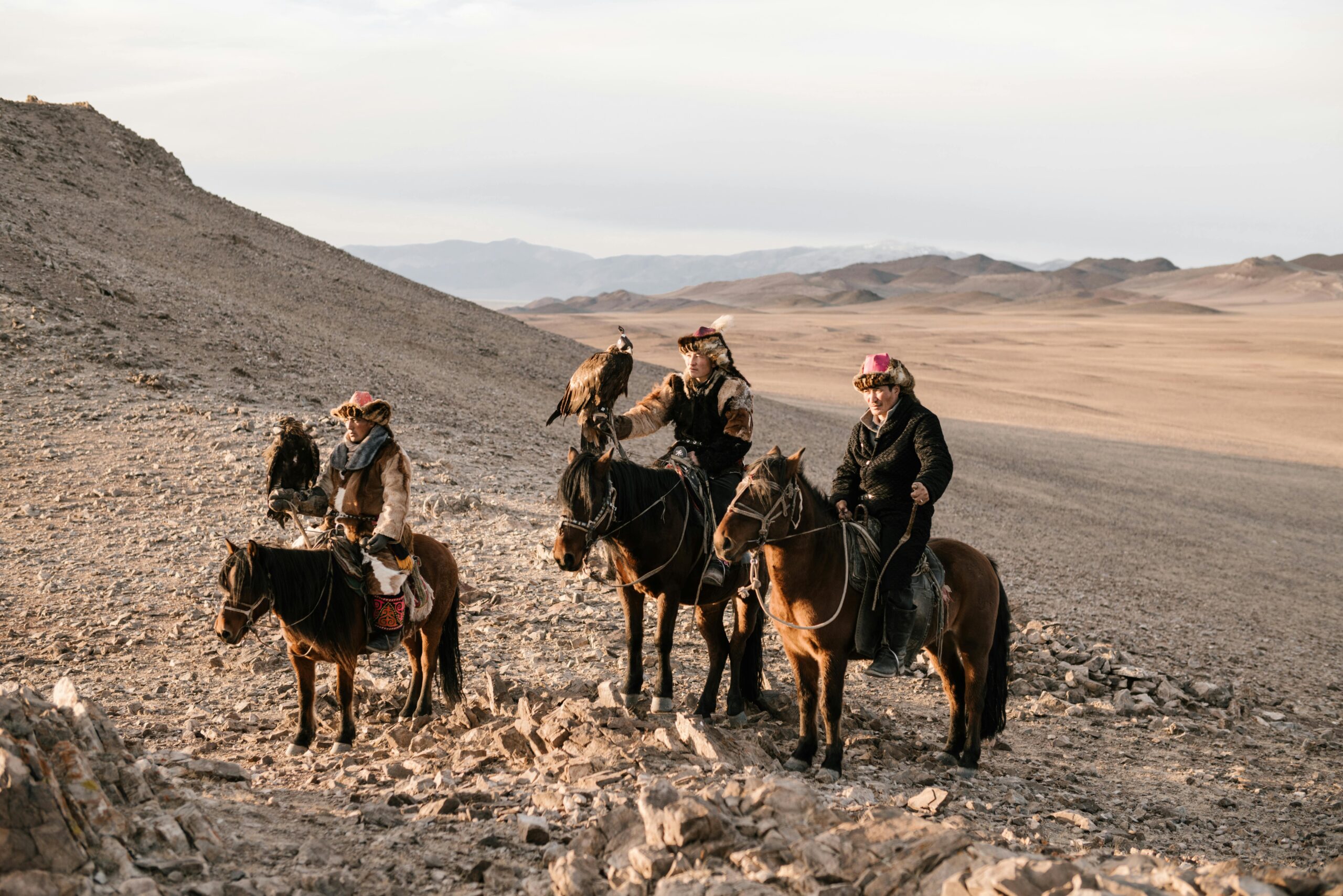 mongolia orły