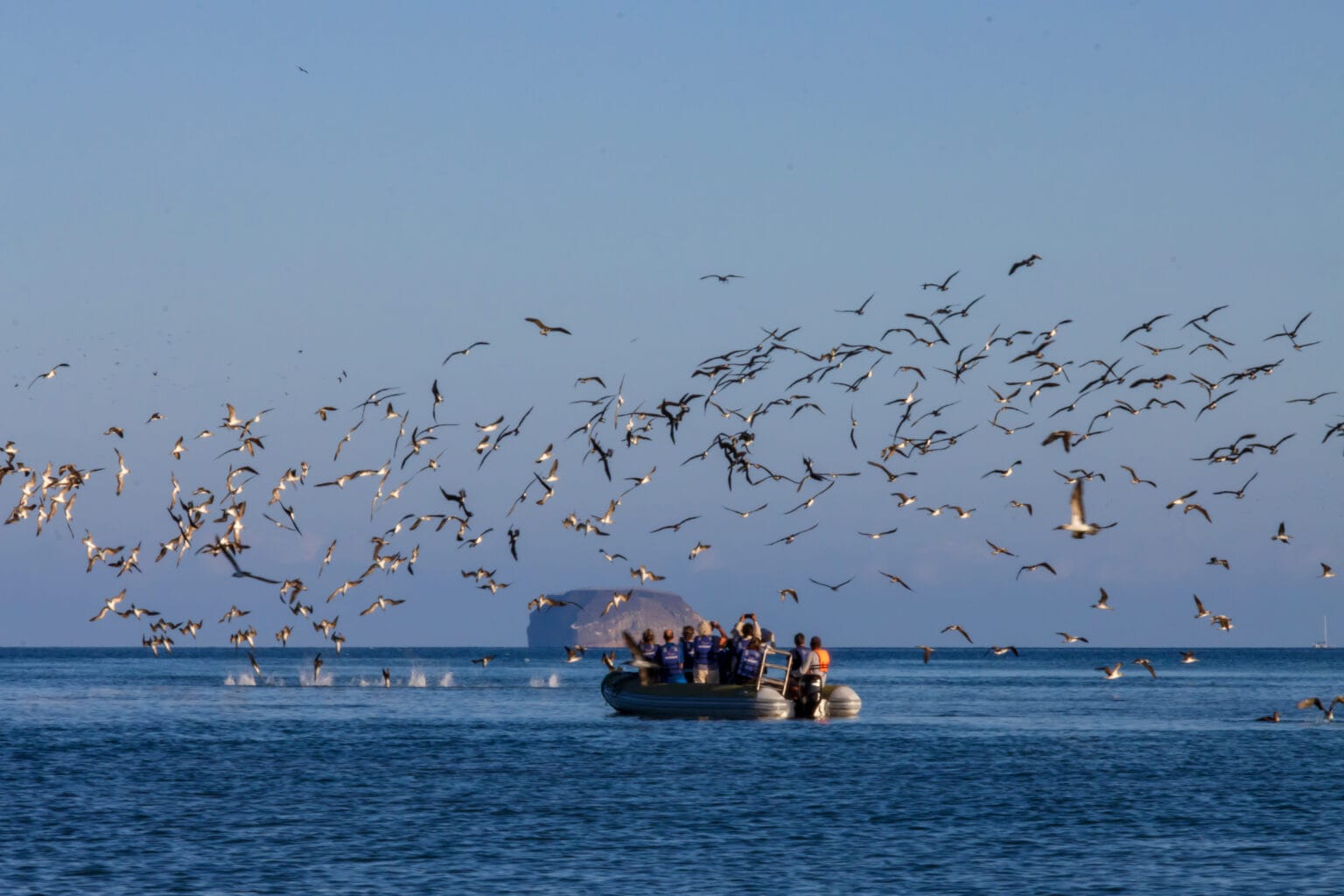 panga ride hermes galapagos mega catamaran