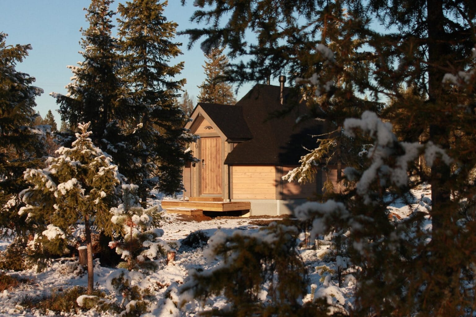 reindeer manor 1