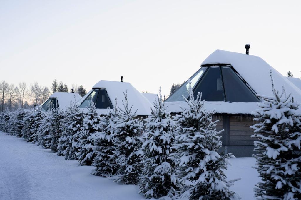 reindeer manor 2