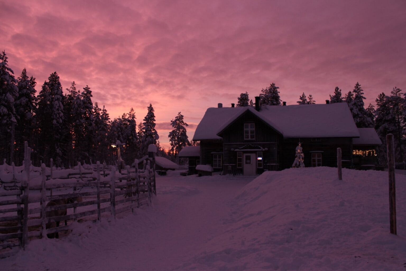 reindeer manor northern lights huts 2