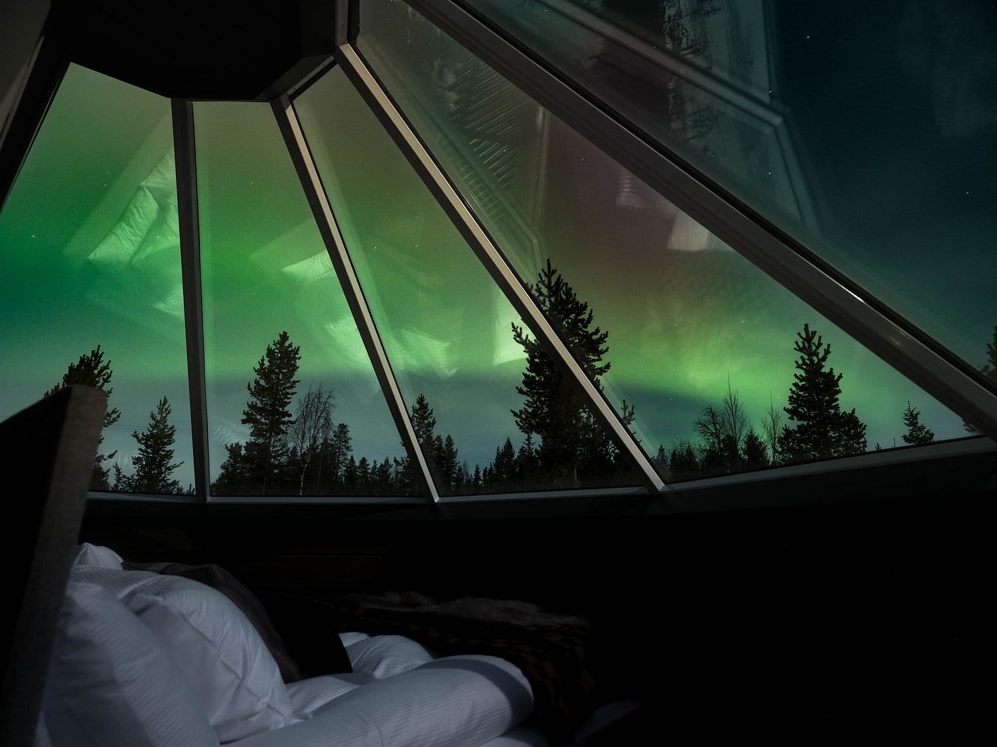 reindeer manor podziwianie zorzy polarnej z igloo